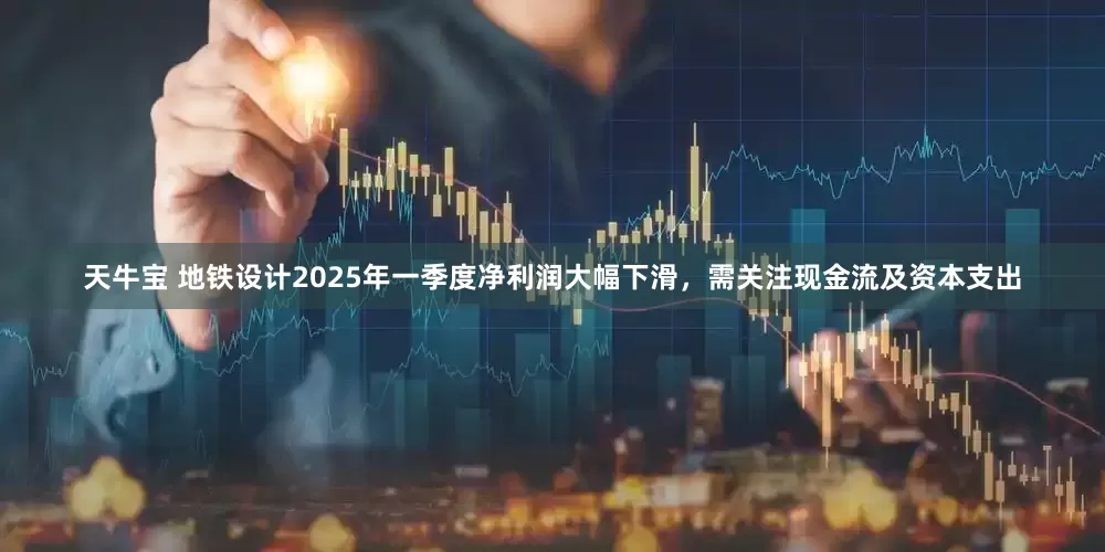 天牛宝 地铁设计2025年一季度净利润大幅下滑，需关注现金流及资本支出