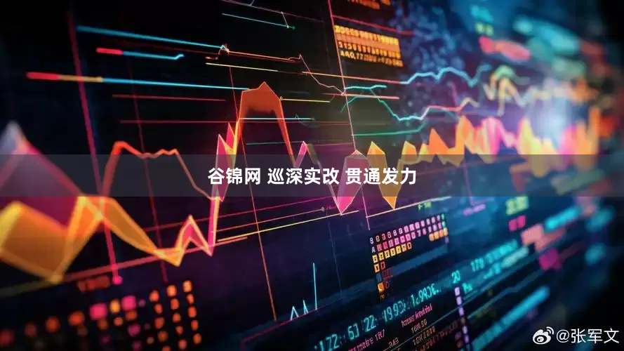 谷锦网 巡深实改 贯通发力