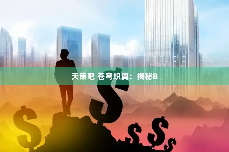 天策吧 苍穹织翼：揭秘B