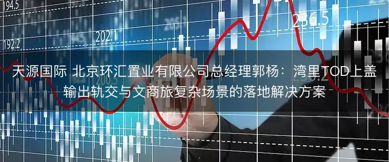天源国际 北京环汇置业有限公司总经理郭杨:湾里TOD上盖输出轨交与文商旅复杂场景的落地解决方案